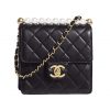 Chanel Women Flap Bag Black Ringer Pearl in Goatskin Leather