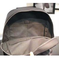 Louis Vuitton LV Men Josh Backpack in Damier Graphite Canvas-Grey (1)