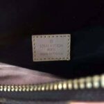 Louis Vuitton LV Women Bumbag in Monogram Canvas-Brown - immagine 10