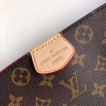 Louis Vuitton LV Women Graceful PM Hobo in Classic Monogram Canvas-Beige - immagine 5