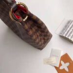 Louis Vuitton LV Women Graceful PM Hobo in Graphic Damier Ebene Canvas-Brown – Image 6