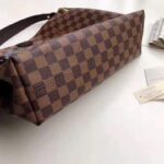 Louis Vuitton LV Women Graceful PM Hobo in Graphic Damier Ebene Canvas-Brown – Image 7