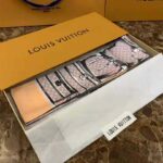 Louis Vuitton LV Women Trunks Bandeau with Trunks and Luggage Pattern-Pink - Image 3