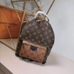 Louis Vuitton LV Women Palm Springs PM Backpack in Monogram Reverse Coated Canvas-Brown - immagine 2