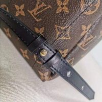 Louis Vuitton LV Women Palm Springs PM Backpack in Monogram Reverse Coated Canvas-Brown (1)