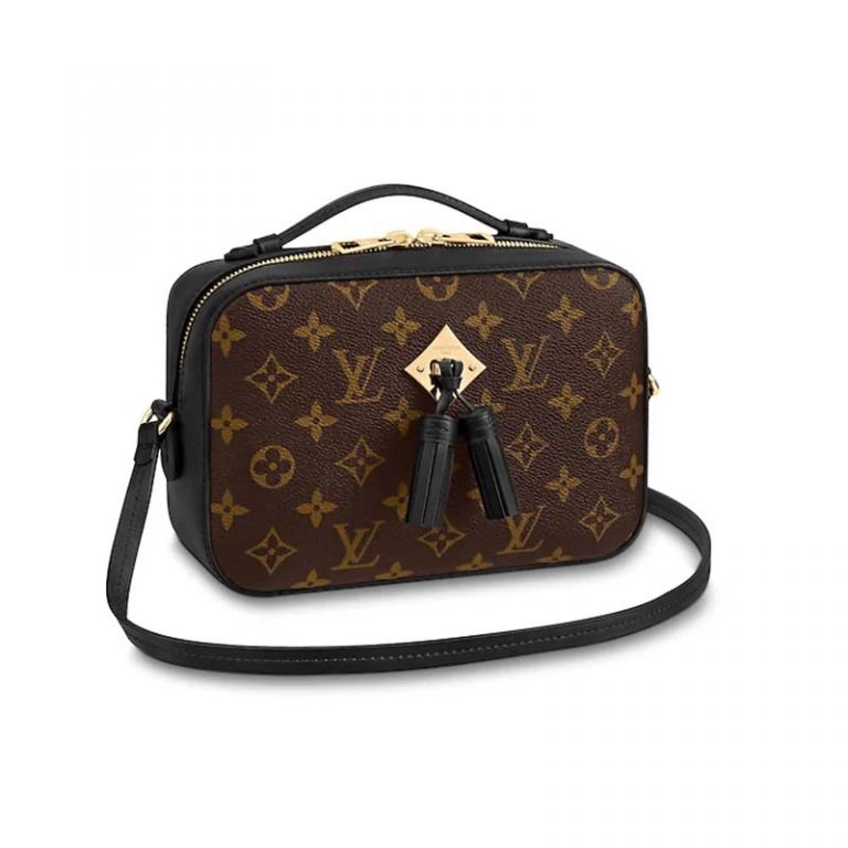 Louis Vuitton LV Women Saintonge Handbag in Monogram Canvas and Smooth ...