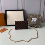 Louis Vuitton LV Women Vavin Chain Wallet in Damier Ebene Coated Canvas-Black – Image 3