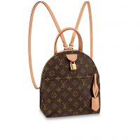 Louis Vuitton LV Unisex LV Moon Backpack in Monogram Canvas-Brown (1)