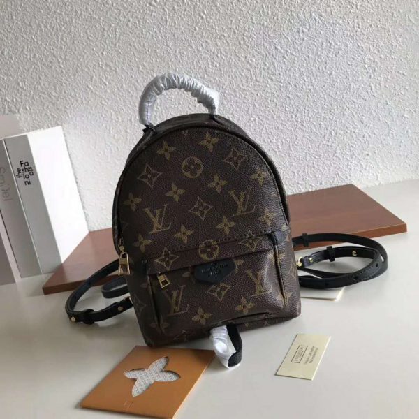 Louis Vuitton LV Unisex Palm Springs Backpack Mini in Monogram Coated Canvas-Brown (2)