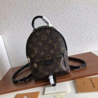 Louis Vuitton LV Unisex Palm Springs Backpack Mini in Monogram Coated Canvas-Brown (1)