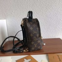 Louis Vuitton LV Unisex Palm Springs Backpack Mini in Monogram Coated Canvas-Brown (1)