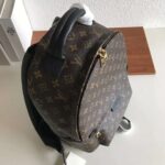 Louis Vuitton LV Unisex Palm Springs MM Backpack in Monogram Coated Canvas-Brown - Image 3