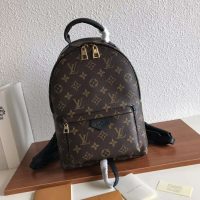 Louis Vuitton LV Unisex Palm Springs PM Backpack in Monogram Coated Canvas-Brown (1)