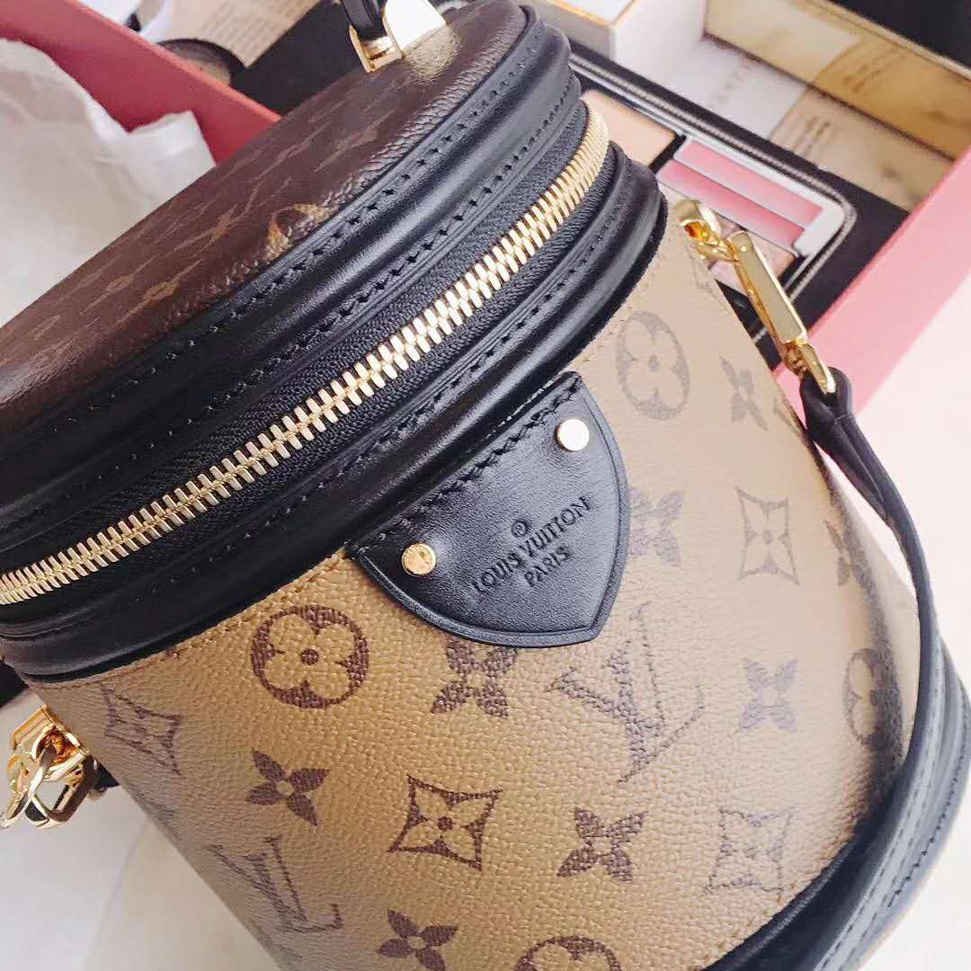 Louis Vuitton Cannes monogram reverse bag review. Cutest handbag. 