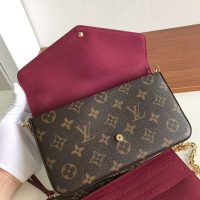 Louis Vuitton LV Women Félicie Pochette Bag in Monogram Canvas-Brown (1)