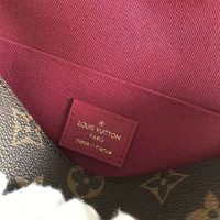 Louis Vuitton LV Women Félicie Pochette Bag in Monogram Canvas-Brown (1)