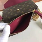 Louis Vuitton LV Women Félicie Pochette Bag in Monogram Canvas-Brown - immagine 8