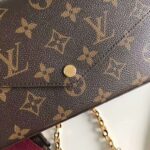Louis Vuitton LV Women Félicie Pochette Bag in Monogram Canvas-Brown - immagine 10
