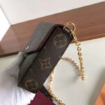 Louis Vuitton LV Women Félicie Pochette Bag in Monogram Canvas-Brown - immagine 5