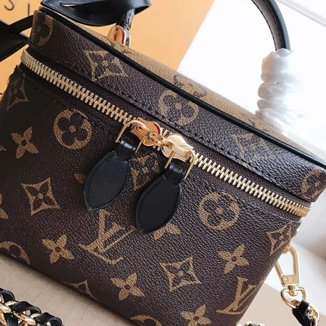 Mua Túi Xách Nữ Louis Vuitton LV M45165 Vanity PM Màu Nâu - Louis