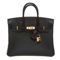 Hermes Birkin 25 Bag in Togo Leather with Gold Hardware 1