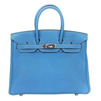 Hermes Birkin 25 Bag in Togo Leather with Gold Hardware 1