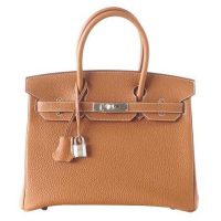 Hermes Birkin 25 Bag in Togo Leather with Gold Hardware 1