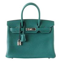 Hermes Birkin 25 Bag in Togo Leather with Gold Hardware 1