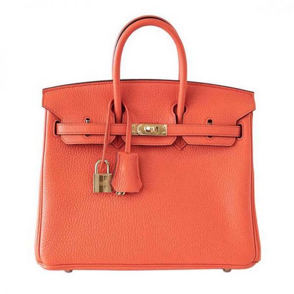Hermes Birkin 25 Bag in Togo Leather with Gold Hardware-Orange