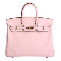 Hermes Birkin 25 Bag in Togo Leather with Gold Hardware 1