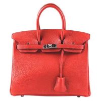 Hermes Birkin 25 Bag in Togo Leather with Gold Hardware 1