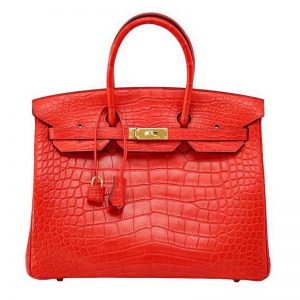 Hermes Birkin 30 Bag in Alligator Leather with Gold Hardware-Red