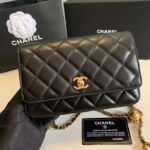 Chanel Women Classic Wallet On Chain in Lambskin-Black – Image 4