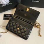 Chanel Women Classic Wallet On Chain in Lambskin-Black – Image 5