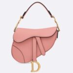 Dior Women Mini Saddle Bag in Calfskin