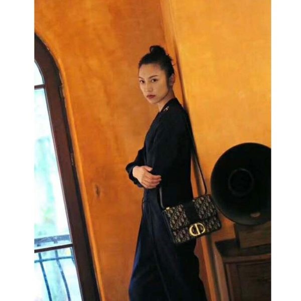 montaigne dior oblique bag