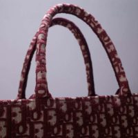 Dior Unisex Dior Book Tote Maroon Dior Oblique Embroidered Velvet