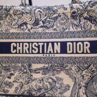 Dior Unisex Small Dior Book Tote Blue Toile De Jouy Embroidery