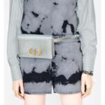 Dior Women 30 Montaigne 2-in-1 Pouch Metallic Stardust Gray Microcannage Calfskin - Image 14