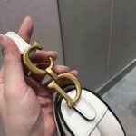 Dior Women Saddle Bag Latte Ultramatte Calfskin 'D' 'CD' Signature-White - Image 10