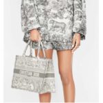 Dior Women Small Dioriviera Dior Book Tote Gray Toile De Jouy Embroidery - Image 9