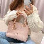 Dior Women Medium Lady D-Lite Bag Bois De Rose Cannage Embroidery - Image 15