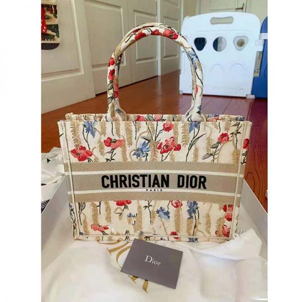 Dior multicolor book tote best sale