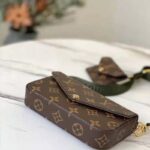 Louis Vuitton LV Unisex Félicie Strap & Go Pochette Monogram Coated Canvas-Brown - Image 2