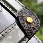 Louis Vuitton LV Women LV Wynwood Chain Bag Taupe Monogram Canvas Vernis Leather - Imagen 9