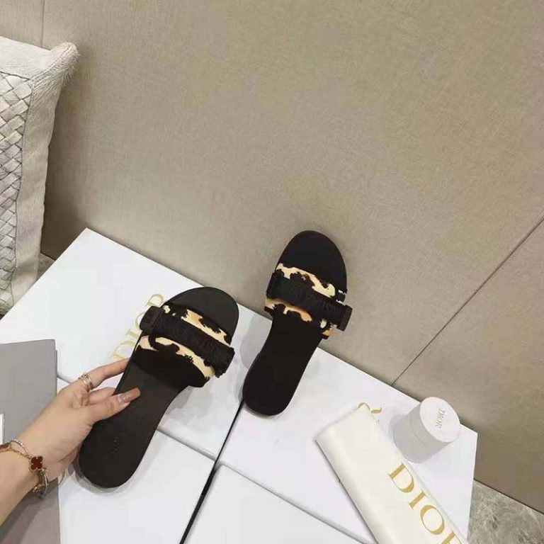 dior evolution slide