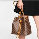 Louis Vuitton Women NéoNoé MM Bucket Bag Safran Yellow Damier Ebène Coated Canvas - immagine 11