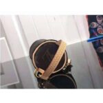 Louis Vuitton LV Unisex Micro Papillon Bag Brown Charm Monogram Canvas Natural Cowhide - immagine 6
