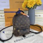 Louis Vuitton LV Unisex Palm Springs Mini Monogram Coated Canvas Textile Lining - immagine 2
