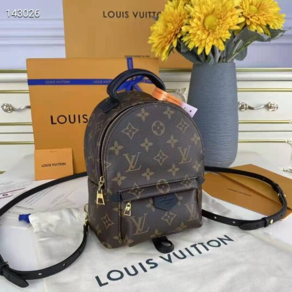 Louis Vuitton LV Women Palm Springs Mini Monogram Coated Canvas Textile Lining (3)